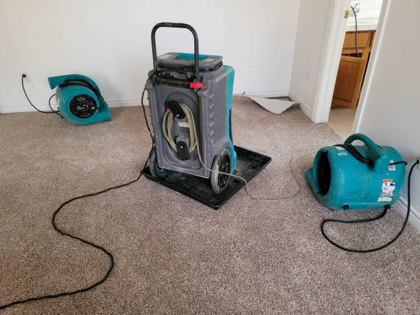 Best Residential water damage restoration  in Kensington, NY