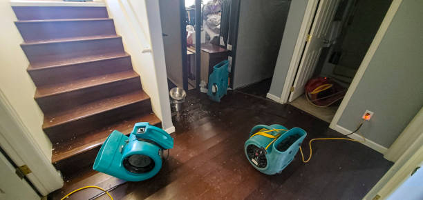 Best Water damage restoration near me  in Kensington, NY