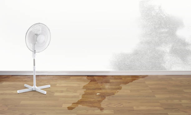 Best Water damage cleanup near me  in Kensington, NY