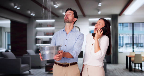 Best Water damage contractors near me  in Kensington, NY